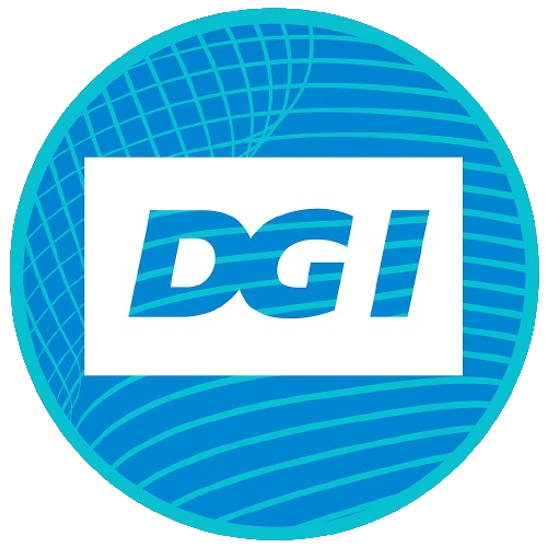 DGI Organisation